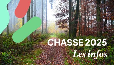 La chasse