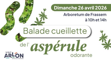 Balade cueillette aspérule