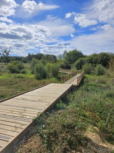 A park project at the Hydrion